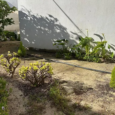Homes Ocean Breeze Terrace 400 M Away From The Ocean 公寓 *